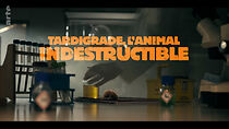 Watch Tardigrade, l'animal indestructible