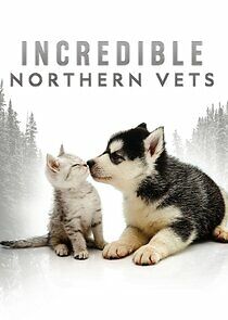 Watch Incredible Northern Vets