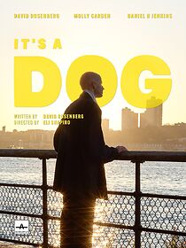 Watch It's a Dog (Short 2022)