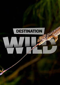 Watch Destination Wild