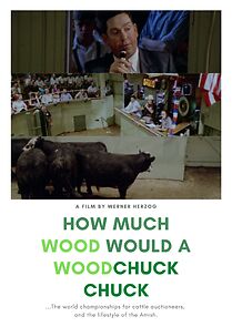 Watch How Much Wood Would a Woodchuck Chuck...