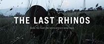 Watch The Last Rhinos