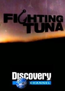 Watch Fighting Tuna