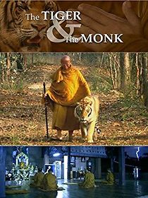 Watch The Tiger and the Monk