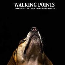 Watch Walking Points