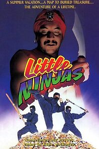 Watch Little Ninjas