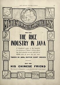 Watch The Rice Industry in Java (Short 1913)