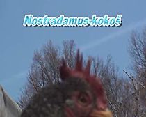 Watch Nostradamus-Chicken