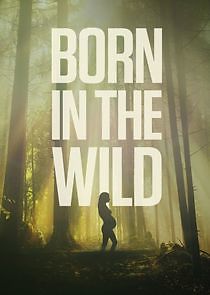 Watch Born in the Wild