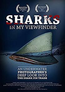 Watch Sharks in My Viewfinder