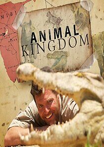 Watch Animal Kingdom