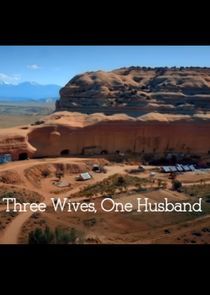 Watch Three Wives, One Husband