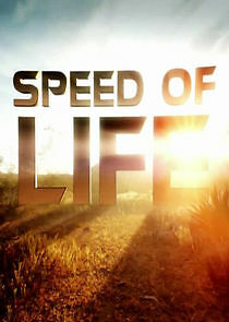 Watch Speed of Life