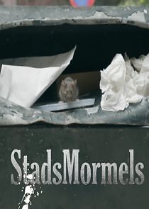 Watch Stadsmormels