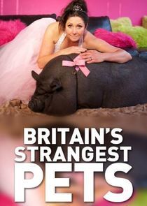 Watch Britain's Strangest Pets