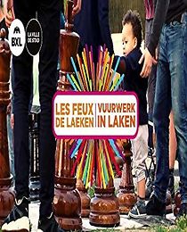 Watch Les feux de Laeken