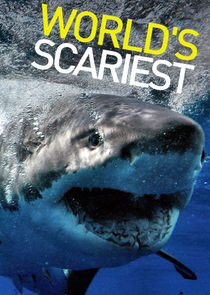 Watch World's Scariest...