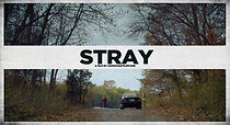 Watch Stray (Short 2014)