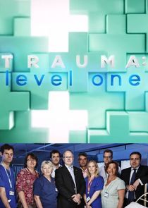 Watch Trauma: Level One