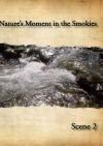 Watch Natures Moment in the Smokies Scene 2