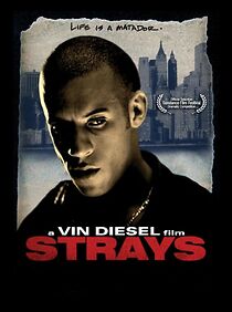 Watch Strays