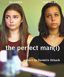 Watch The Perfect Man(i)