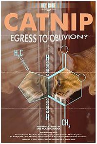 Watch Catnip: Egress to Oblivion?