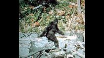 Watch Patterson-Gimlin Film (Short 1967)