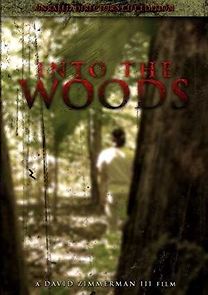 Watch Into the Woods