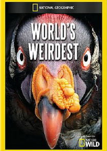 Watch World's Weirdest