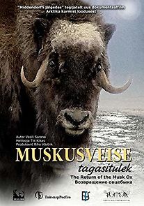 Watch The Return of the Musk Ox