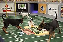 Watch Puppy Bowl V