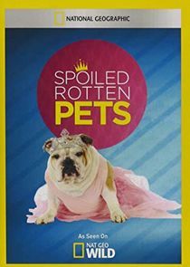 Watch Spoiled Rotten Pets