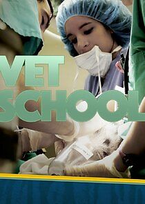 Watch Vet School