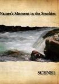 Watch Natures Moment in the Smokies Scene 1