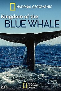 Watch Kingdom of the Blue Whale