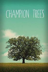 Watch Champion Trees