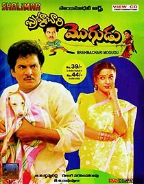 Watch Brahmachari Mogudu