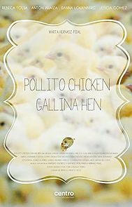 Watch Pollito Chicken, Gallina Hen