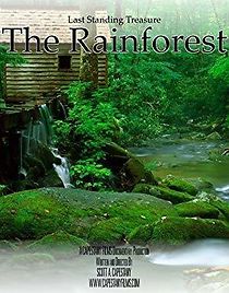 Watch The Rainforest: Last Standing Treasure