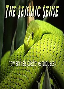 Watch The Seismic Sense: How Animals Predict Earthquakes