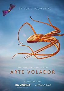 Watch Arte Volador