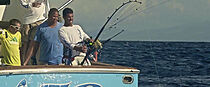 Watch National Geographic: Billfish