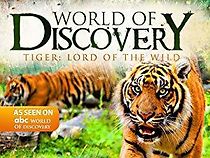 Watch Tiger: Lord of the Wild