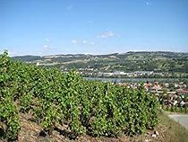 Watch Wine from the Rhône