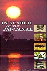 Watch In Search of the Pantanal