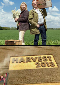 Watch Harvest