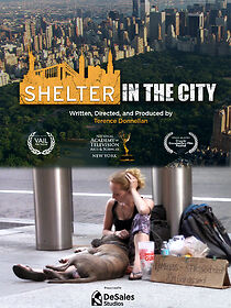 Watch Shelter in the City