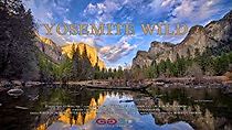 Watch Yosemite Wild
