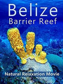 Watch Belize Barrier Reef: Natural Relaxation Movie